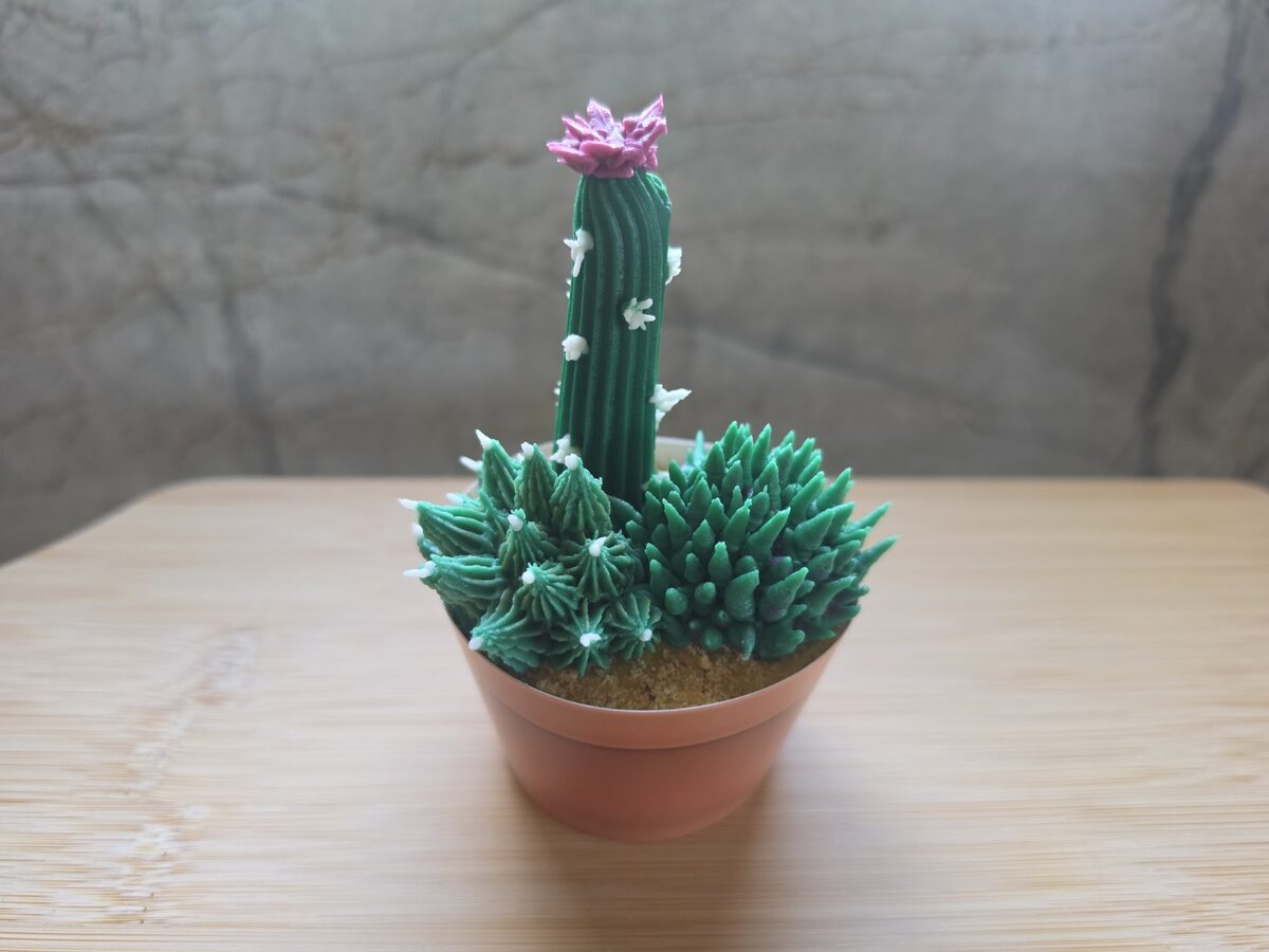 Hand-piped cactus and succulent cupcakes in a terracotta-coloured wrapper